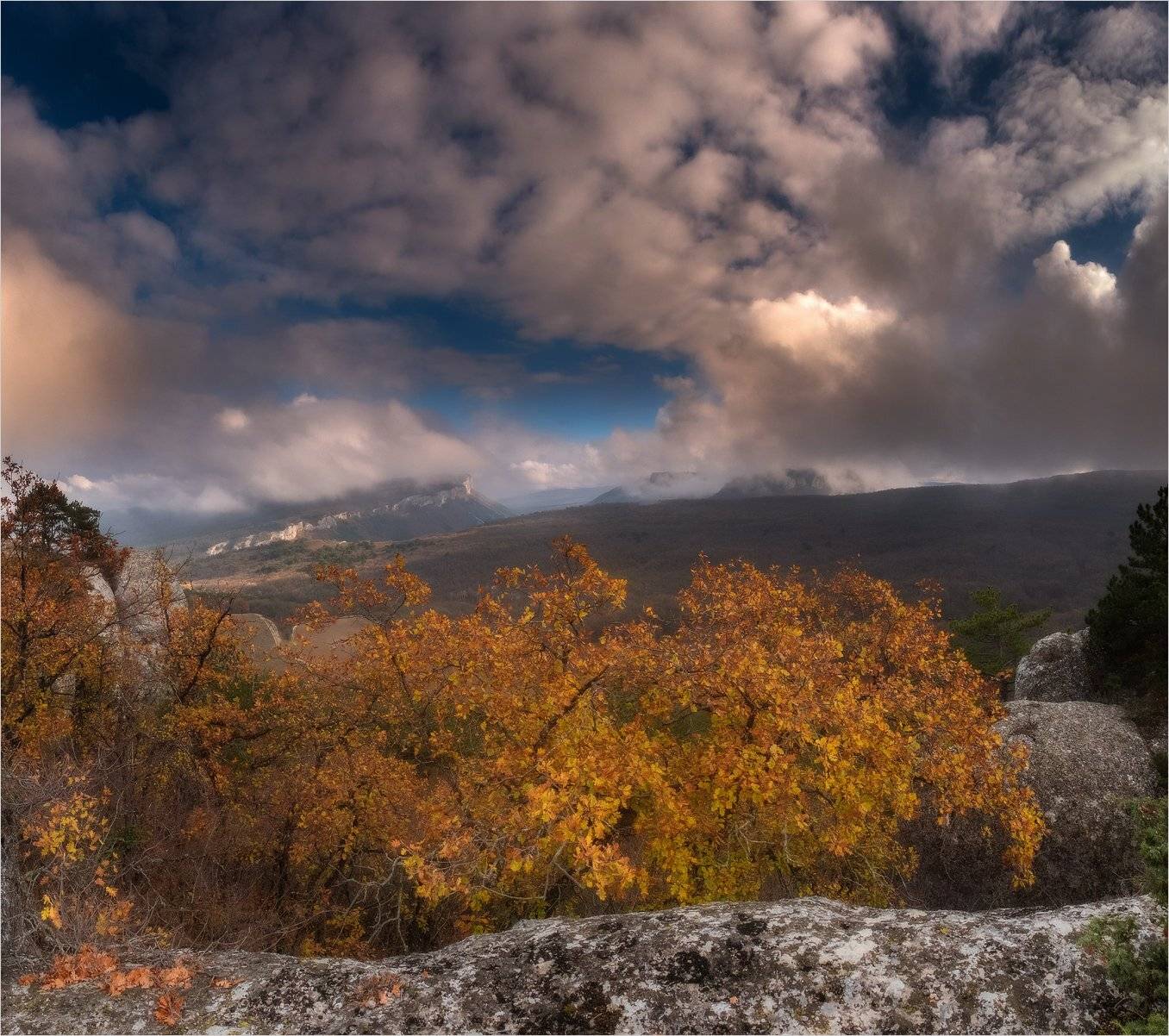 , Михаил Гапонов