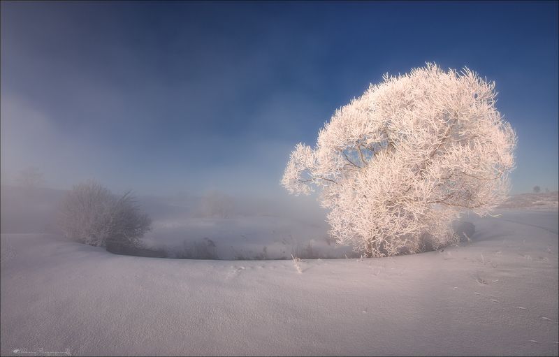 Зимы украшения. фото превью