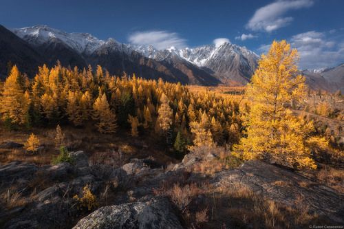 В долине Аргута
