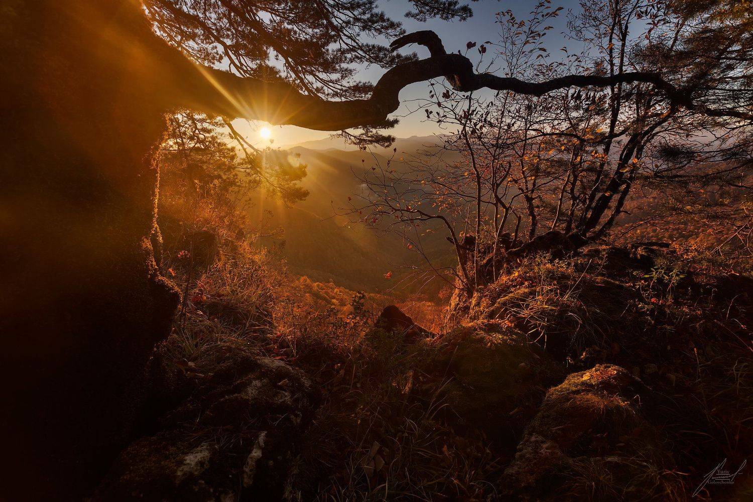 , Юрий Головченко