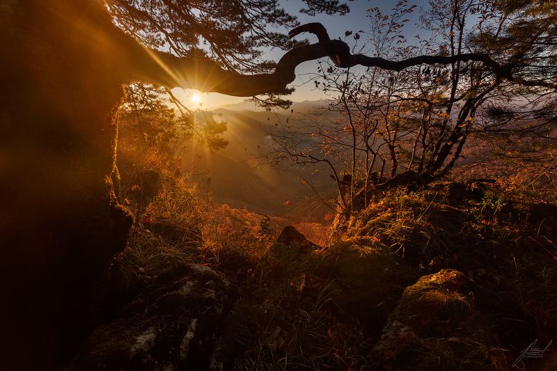 Утро нового дня. фото превью