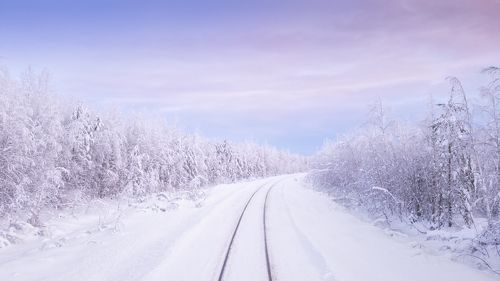 Дорога в зиму