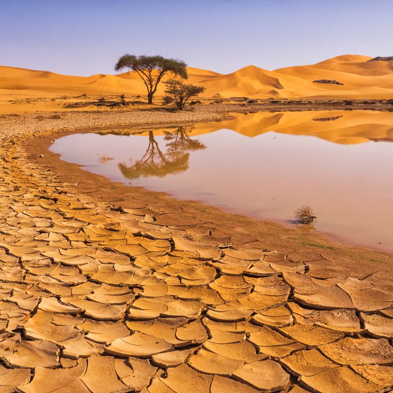 пустыня, оазис, песок, дюны, африка, алжир, сахара, отражение, тадрарт Оазис фото превью