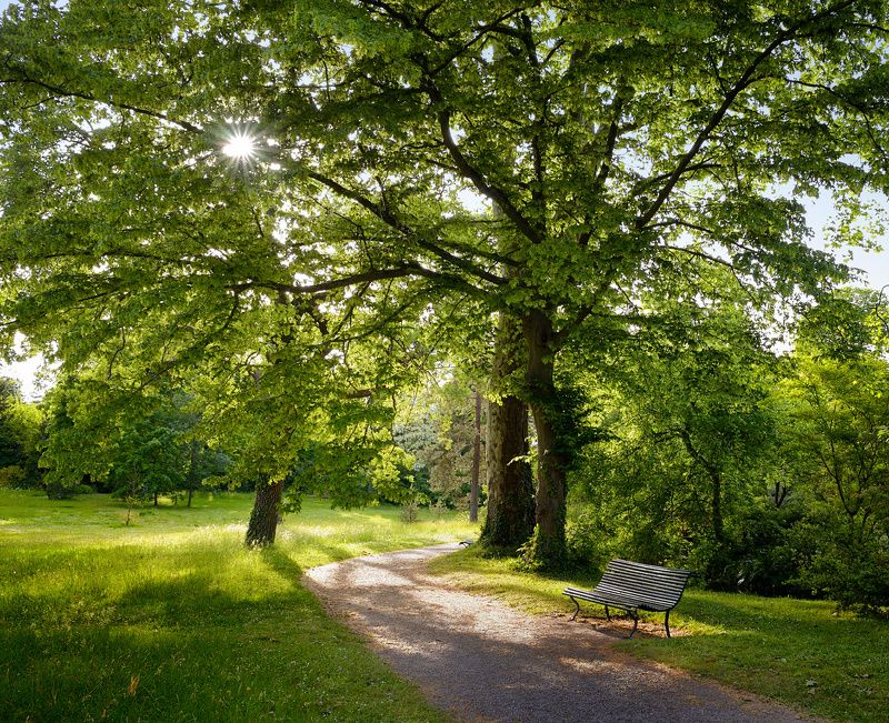 зеленая скамейка фото превью