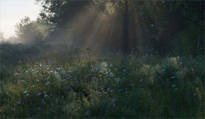 лучистое утро... фото превью