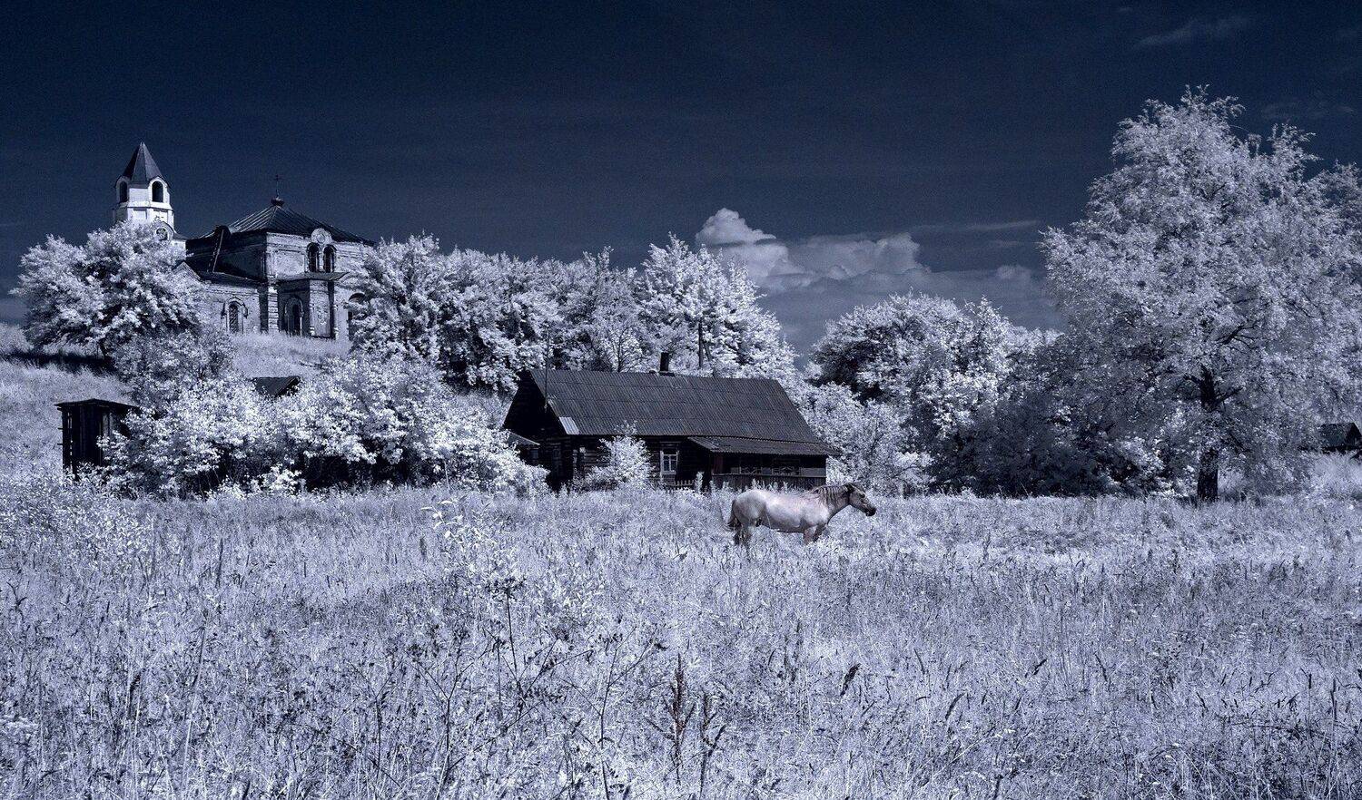 infrared,ик-фото,инфракрасное фото,инфракрасная фотография,пейзаж,природа,беларусь,лето, Sixten ( Сергей )