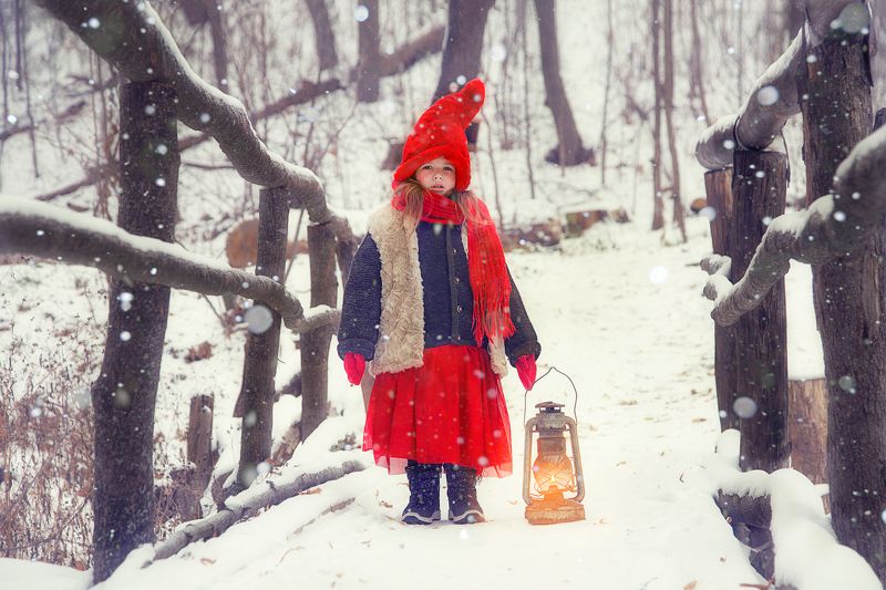 В поисках кролика фото превью