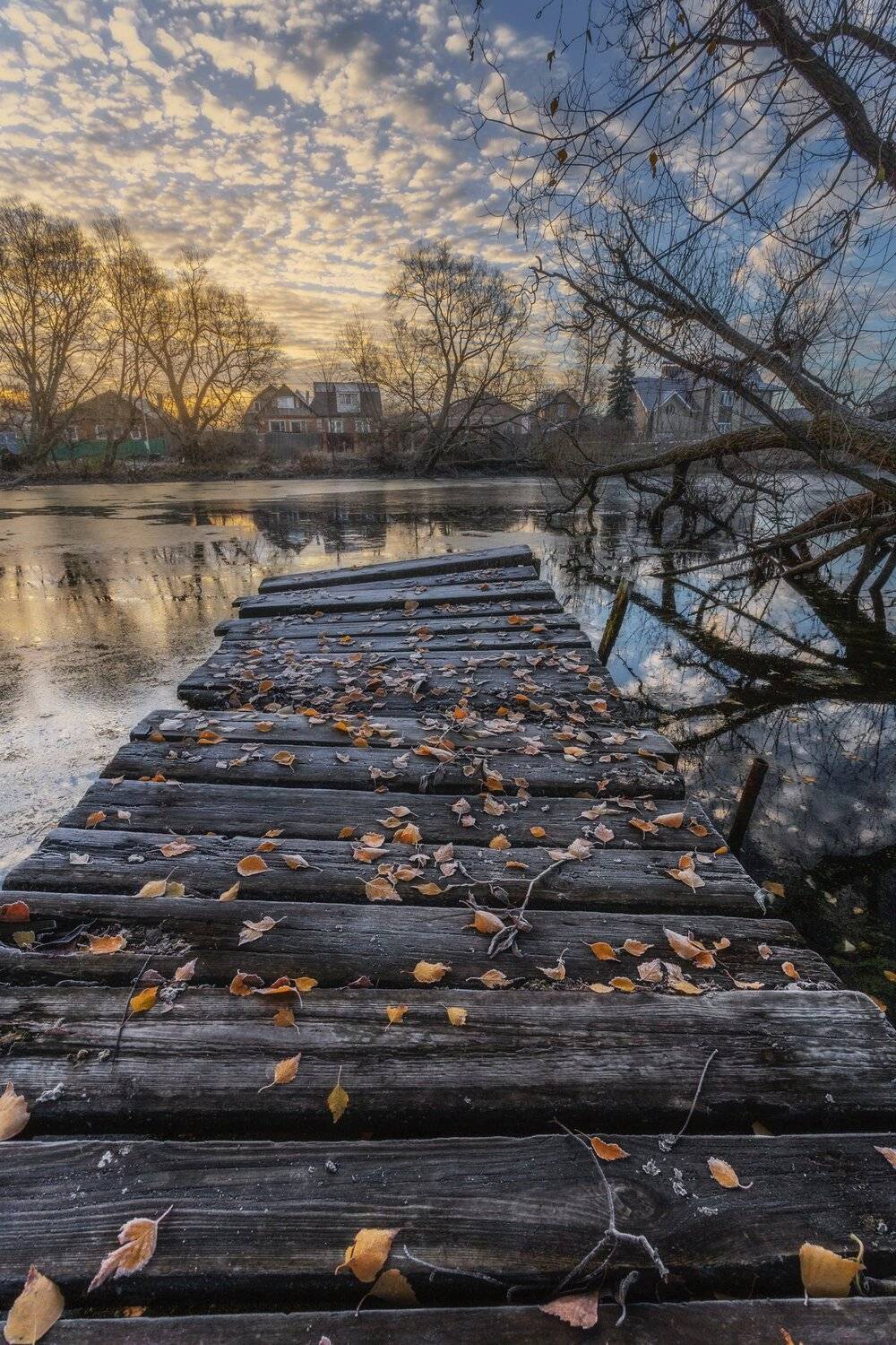 пейзаж, природа, утро, сертякино, московская область, Мартыненко Дмитрий