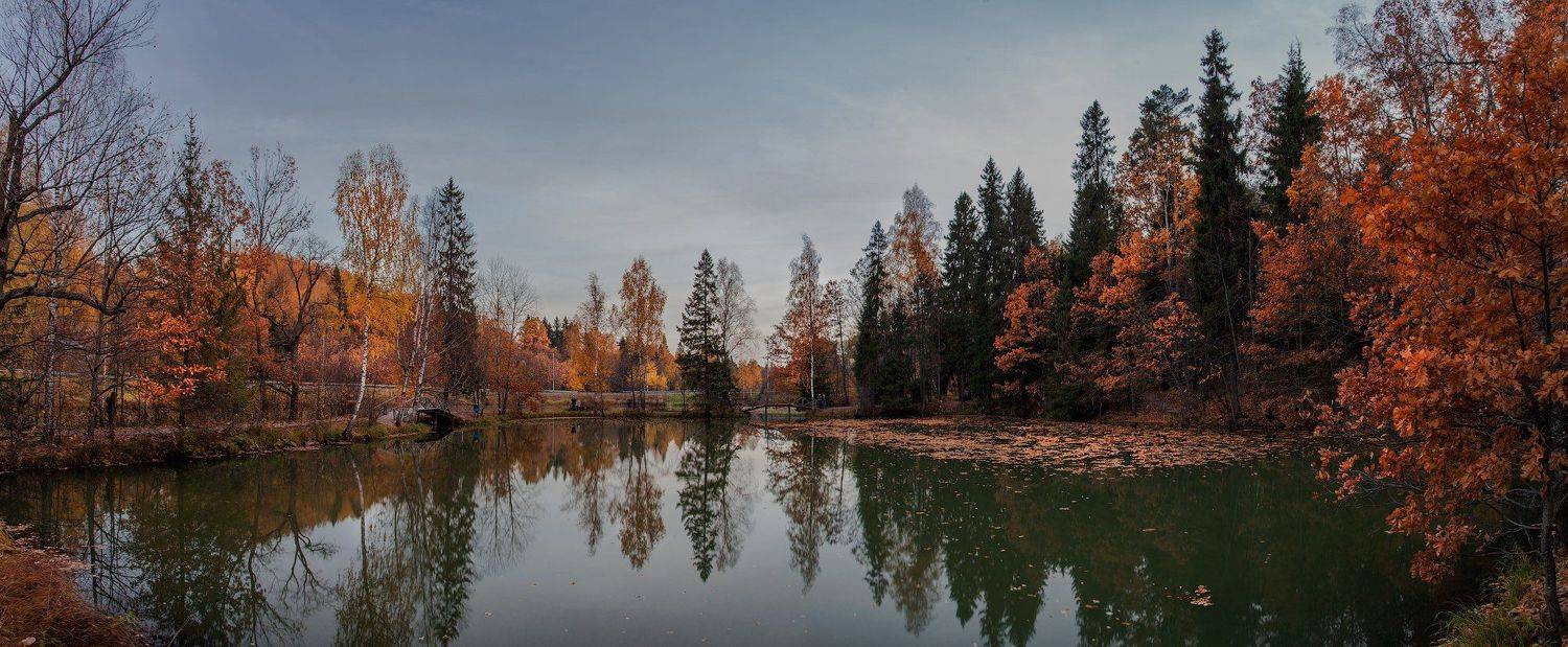 подмосоквье, октябрь, Андрей Леонидович