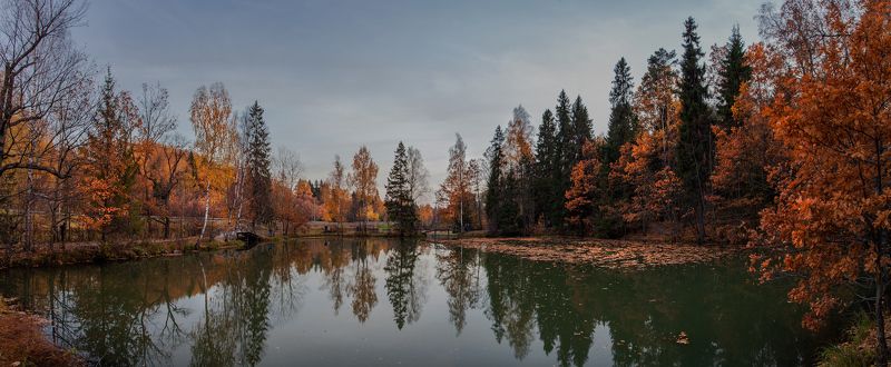 подмосоквье, октябрь Эта осень... фото превью