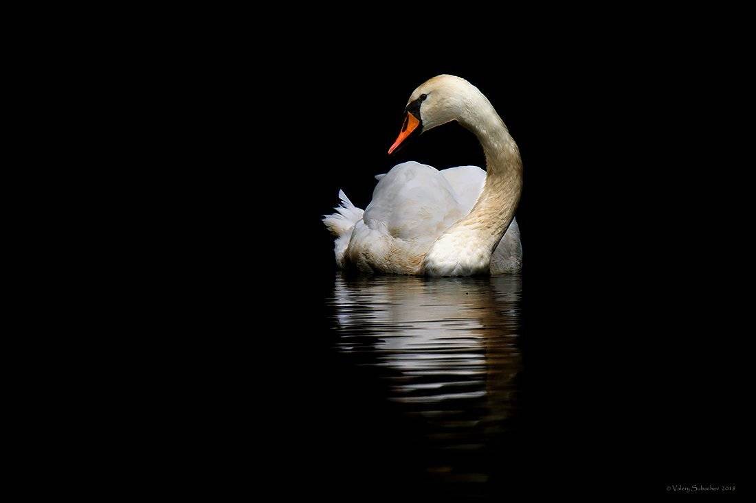 , Валерий Субачев