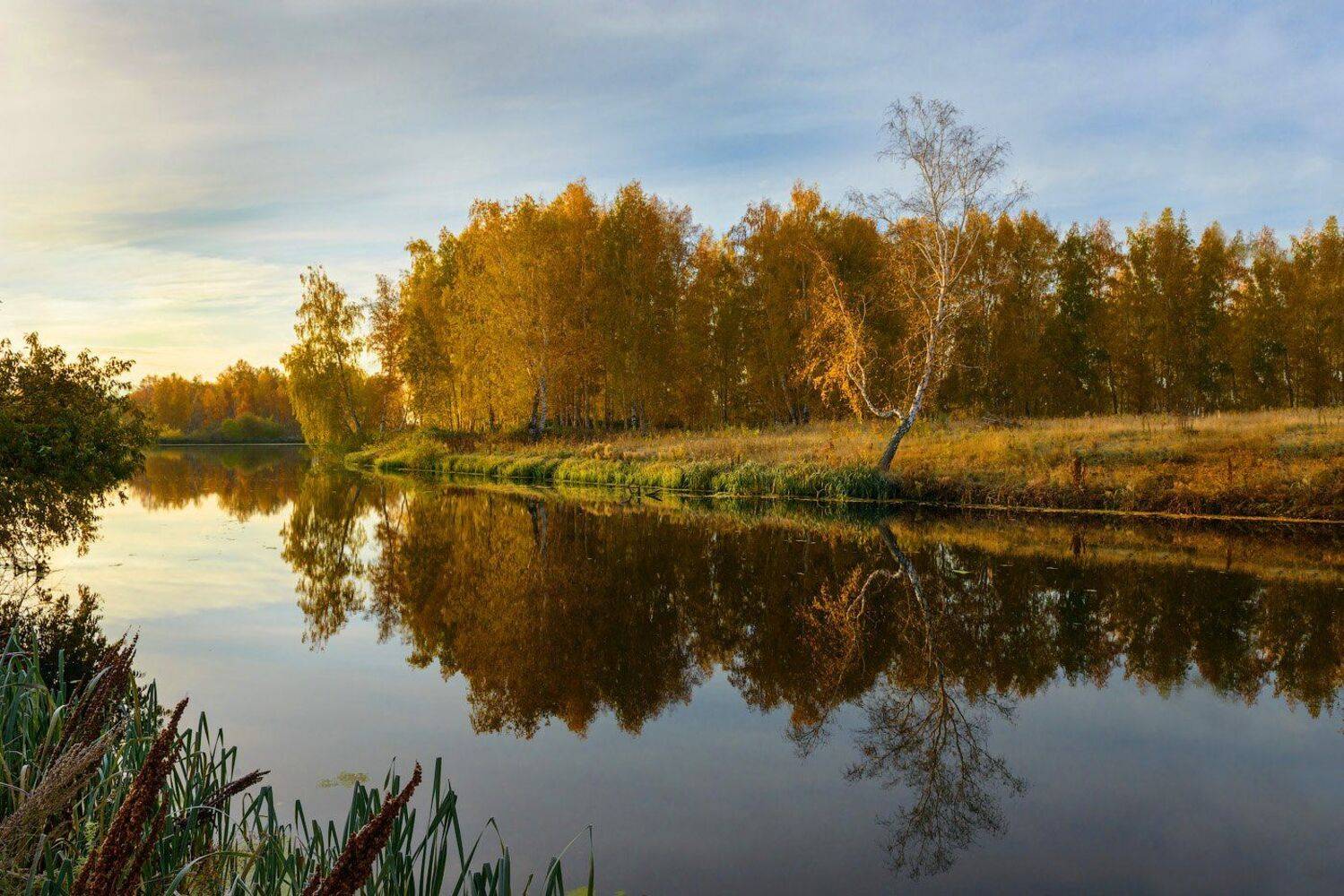 #зауралье #Батурино #пруд #осень #кутыгин #kutygin, Кутыгин Эдуард