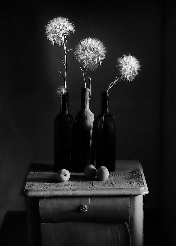 stilllife,blackandwhite,dandelions, Three фото превью