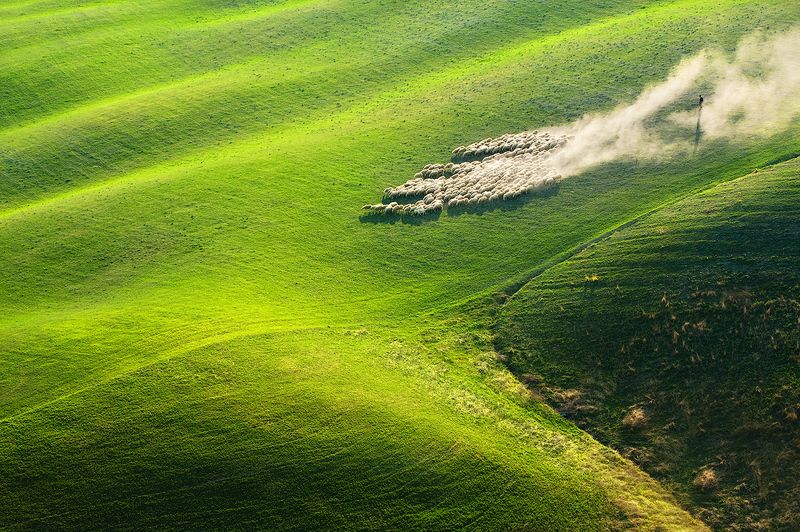 tuscany In the rush фото превью