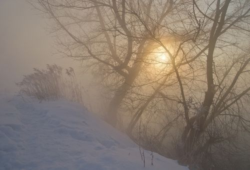 В холоде и золоте
