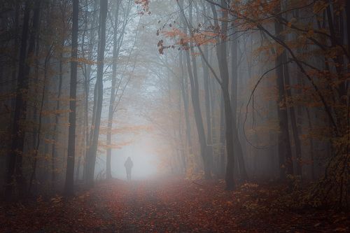 Milan Samochin-Photography