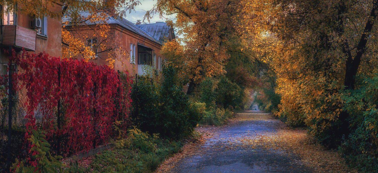 , Игорь Мелекесцев