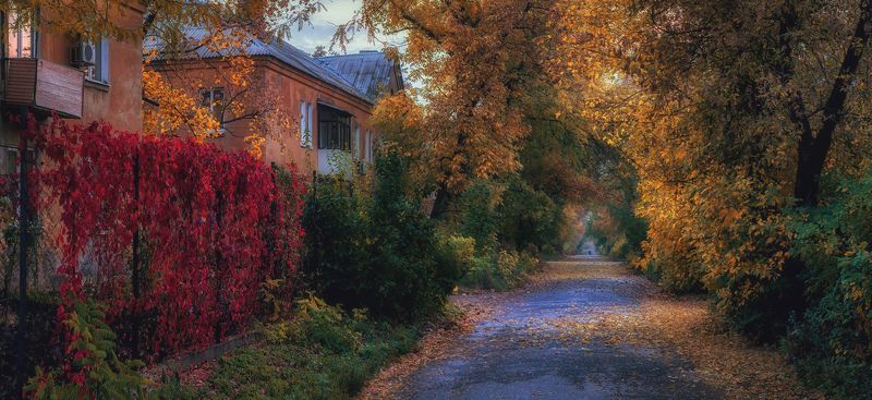Осень в сталинках (репост) фото превью