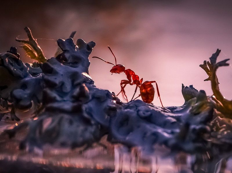 По ухабистым тропинкам фото превью