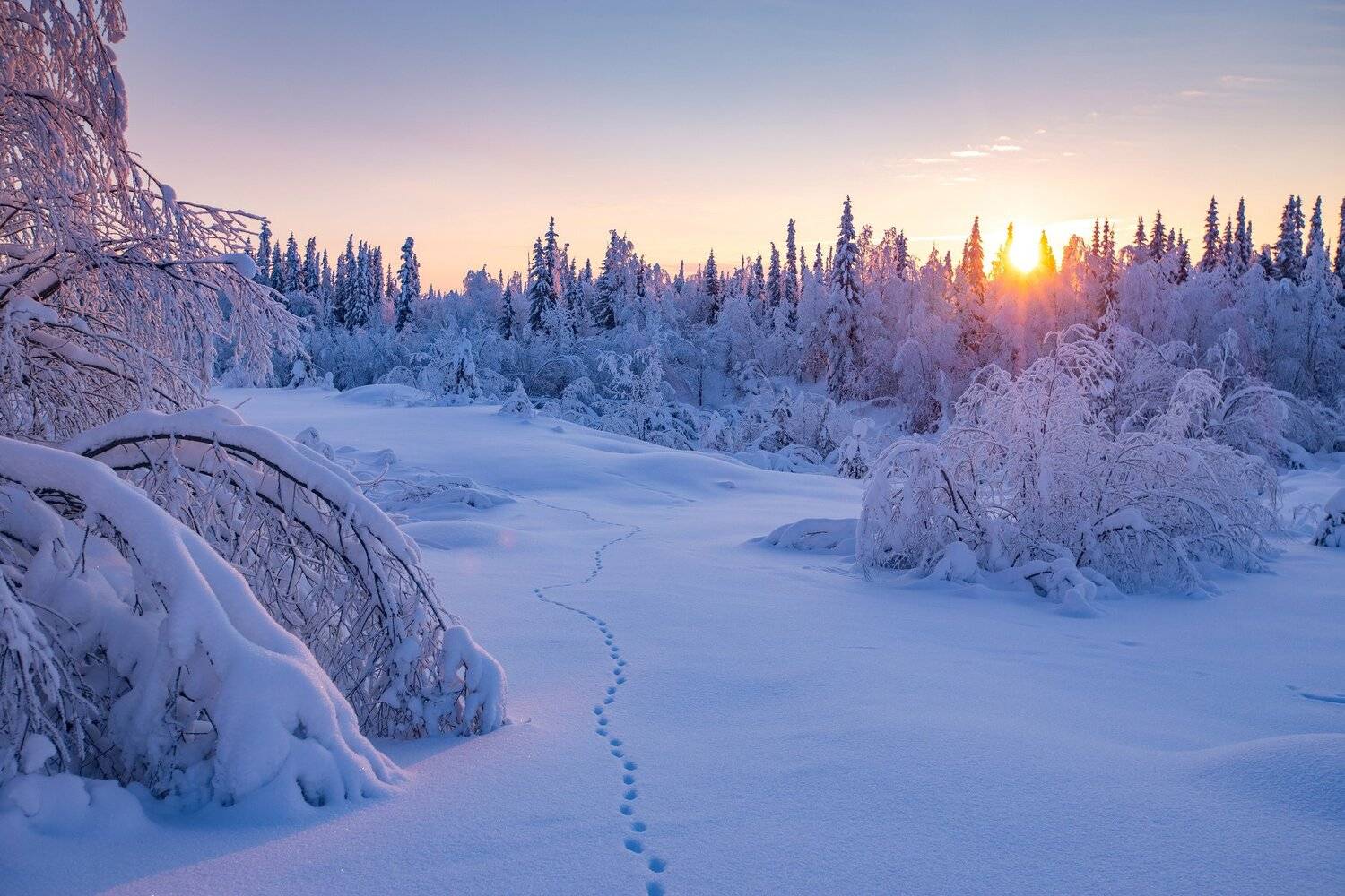 печора, Анатолий