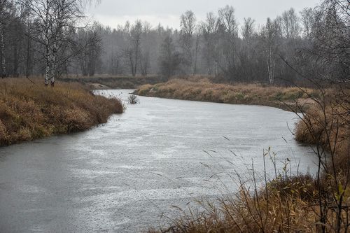Pro дождливые фактуры поздней осени