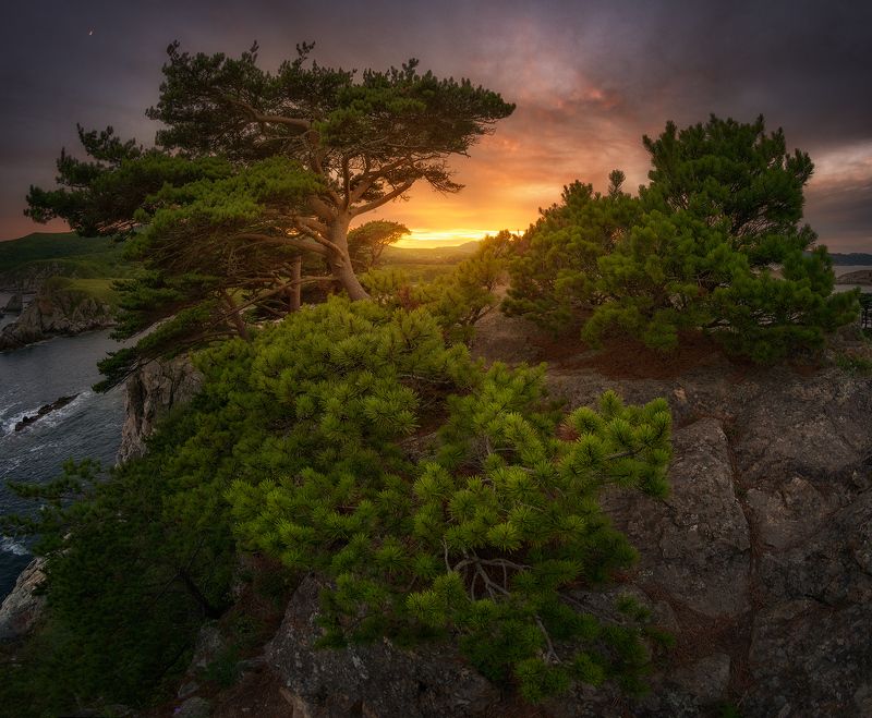 приморский край море солнце рассвет владивосток заповедник скалы Заповедная безмятежность фото превью