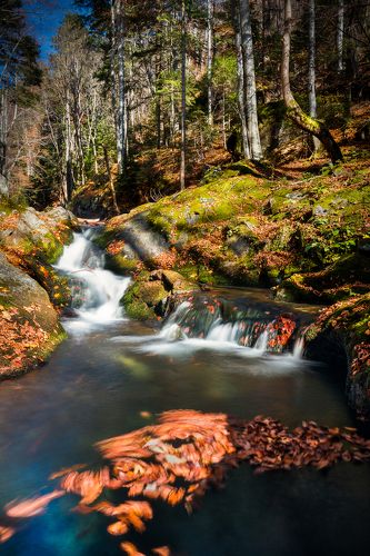 Run along the stream
