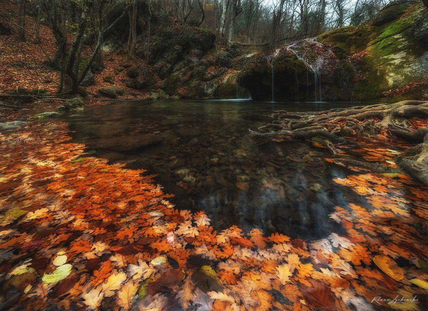 крым, хапхал, Роман Любимский