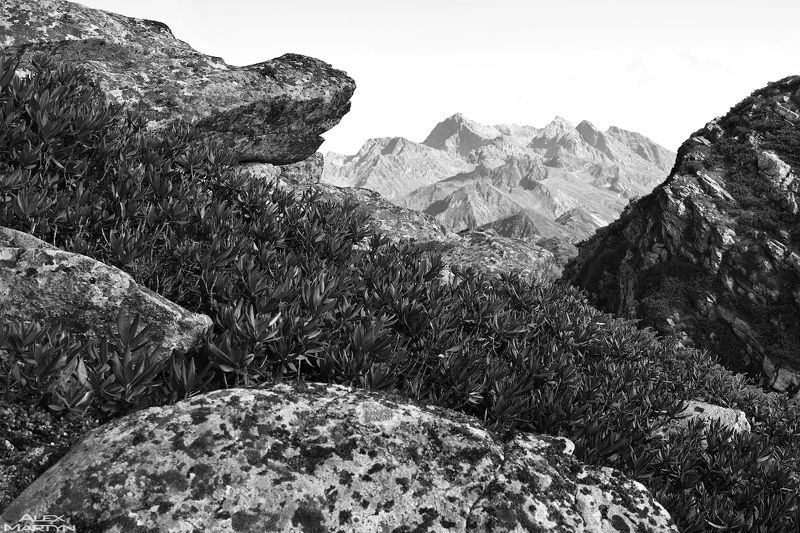 горы, розахутор, роза, розапик, каменныйстолб, простор, обзор, камень, небо, чб *** фото превью