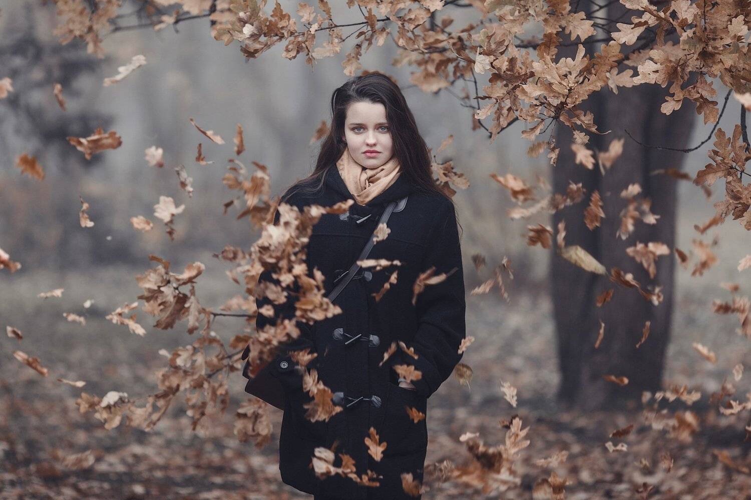 , Владимир Осауленко