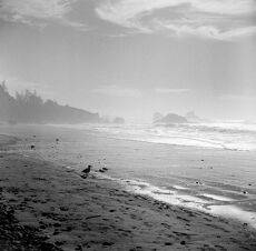 ocean