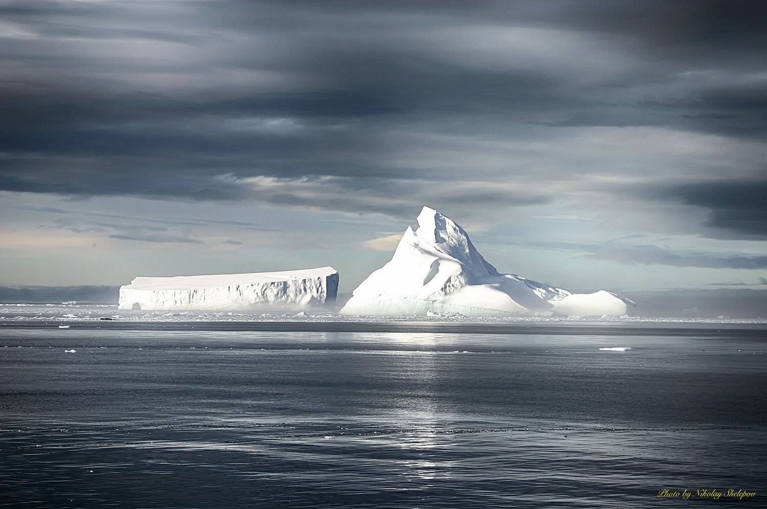 , Николай Шелепов