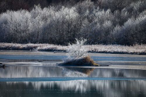 Первые морозы