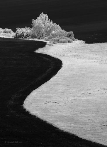 Весенние контрасты