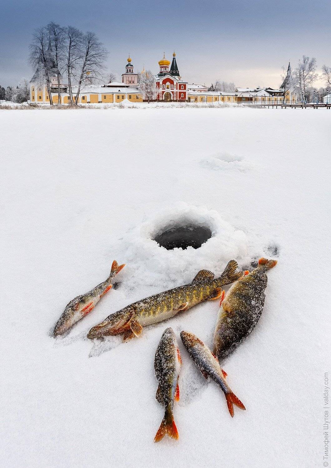 иверский монастырь, валдай, Тимофей Шутов