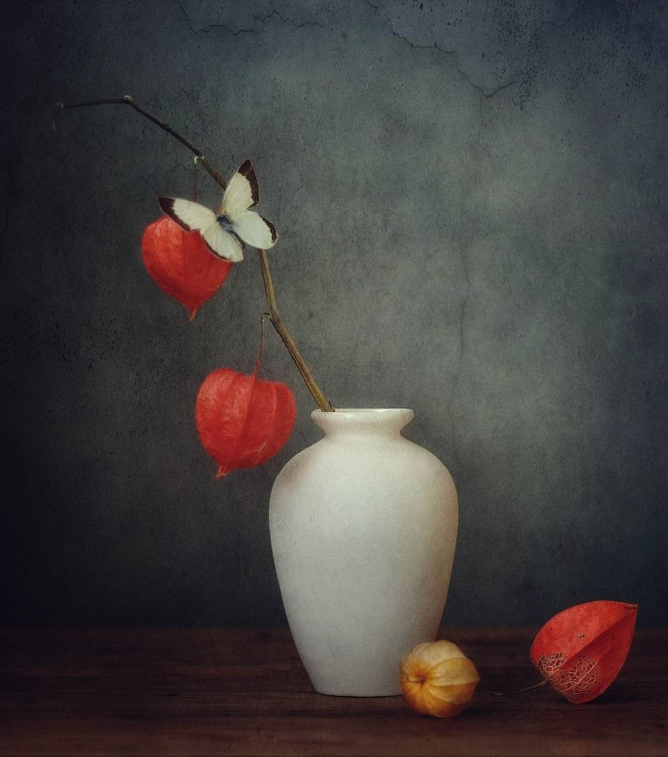 натюрморт,бабочка,физалис,осень, Наталия К