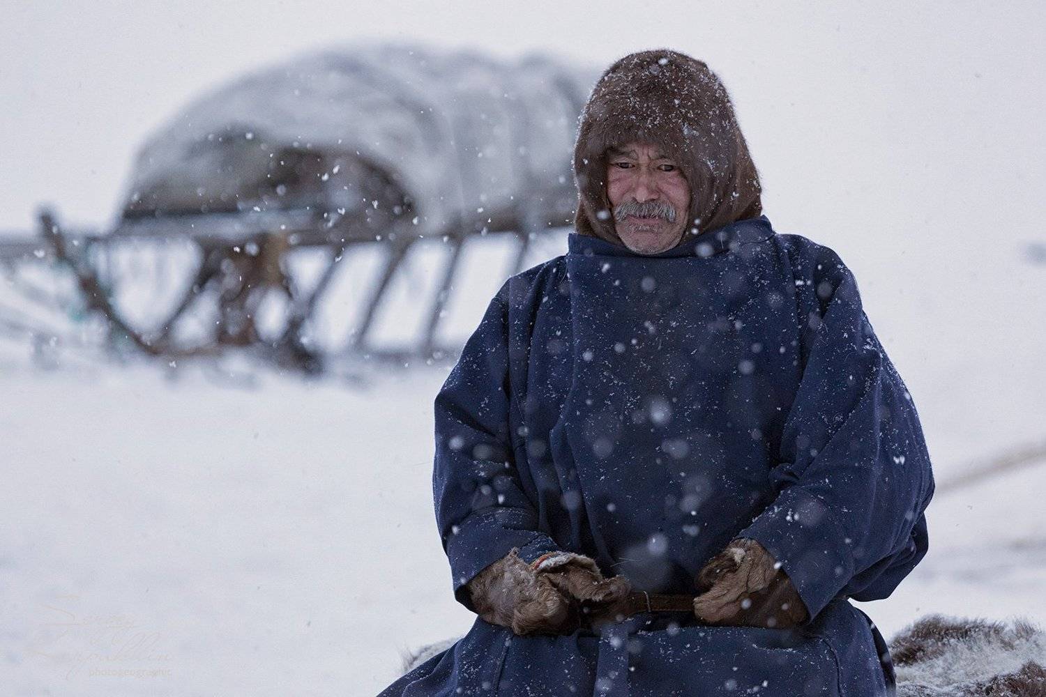 ямал, полярный урал, ненцы, Сергей Карпухин