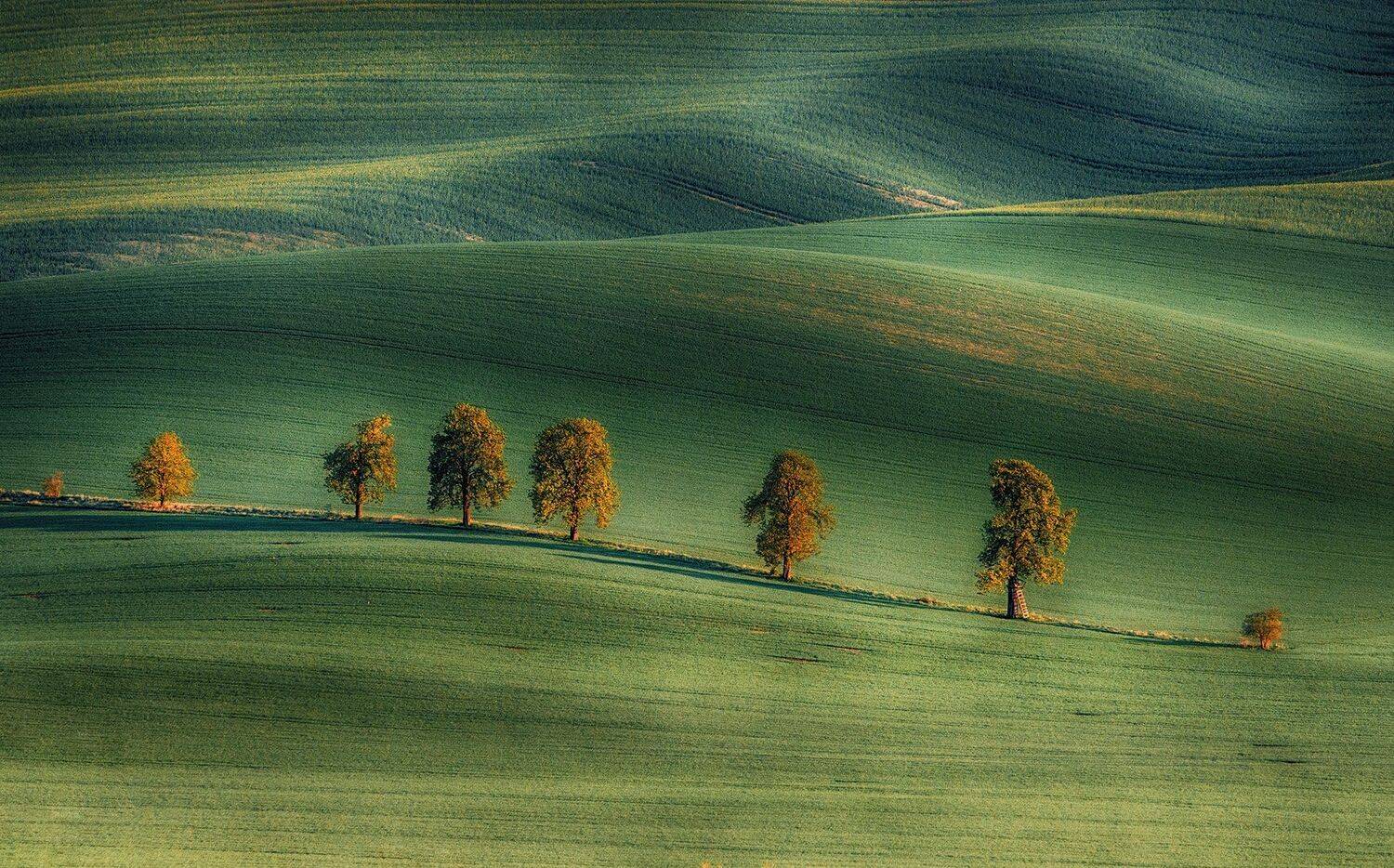 , Красимир Матаров