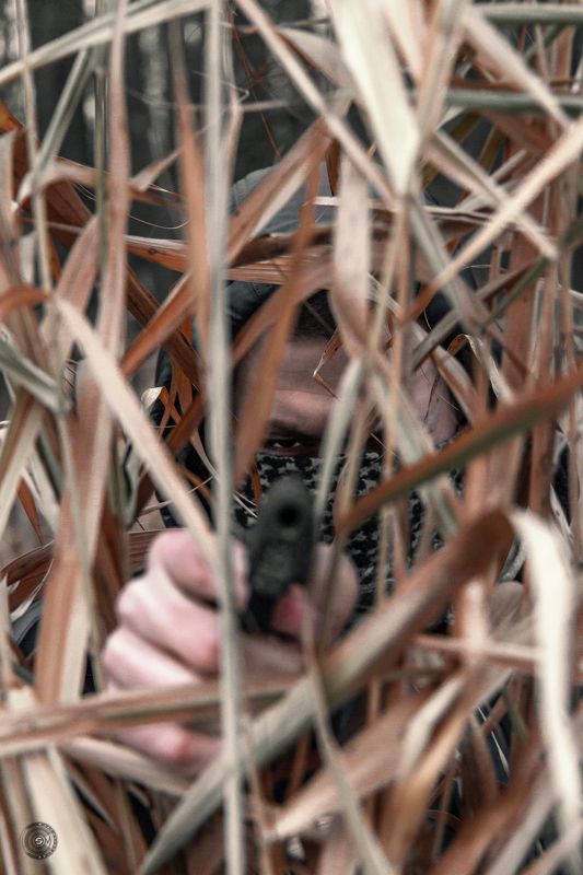 пистолет, убийца, человек, оружие, выстрел, лес, внезапность,  Внезапно... фото превью