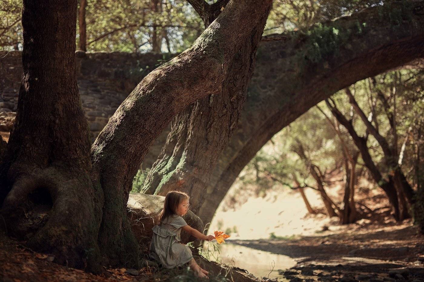 , Александра Дуке