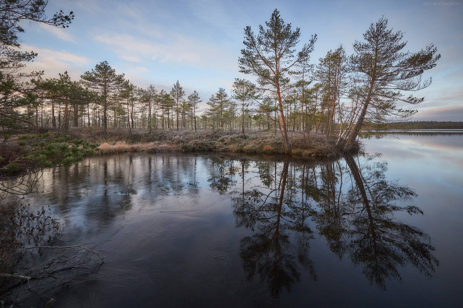 , Антон Кононов