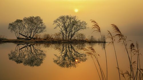 garden of water