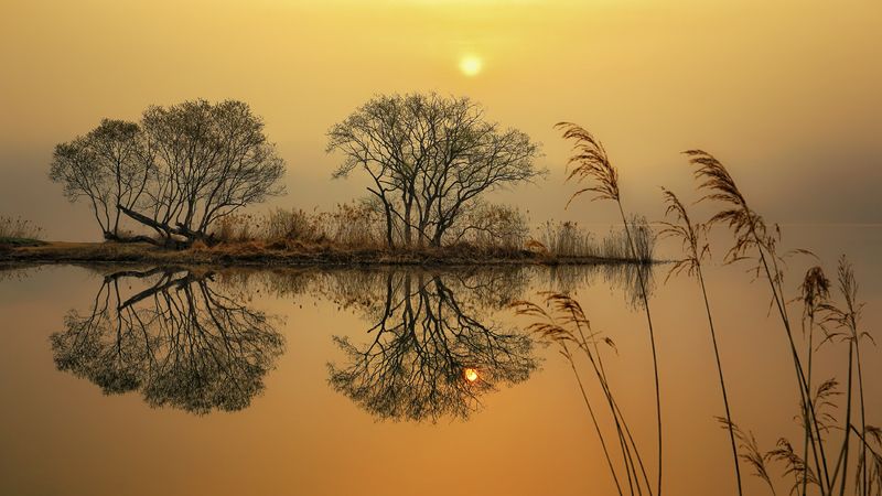 reflection, tree, sunrise, winter, water, riverside, river, morning, landscape garden of water фото превью