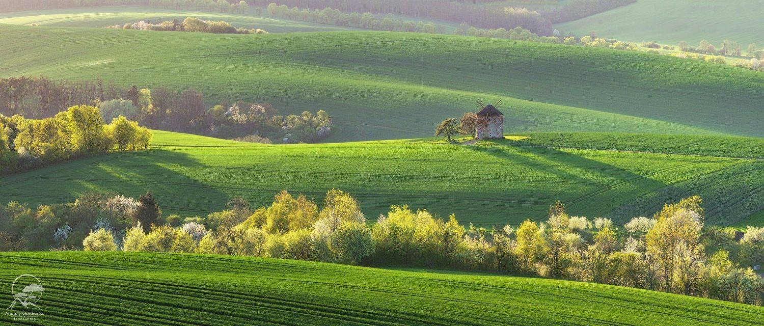пейзаж, природа, поле, моравия, чехия, мельница, Анатолий Гордиенко
