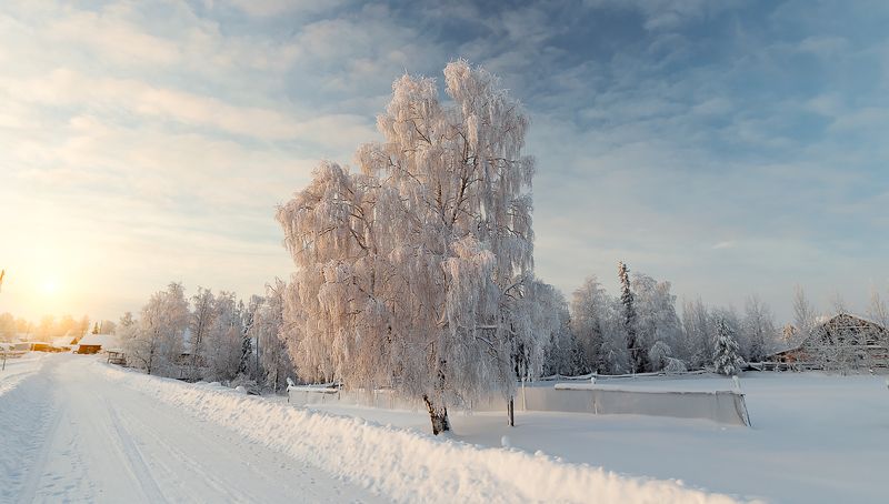 зима,коми,природа,север,закат,мороз,снег,деревня,иней,winter, komi, nature, north, sunset, frost, snow, village, frost Ну вот и зима фото превью