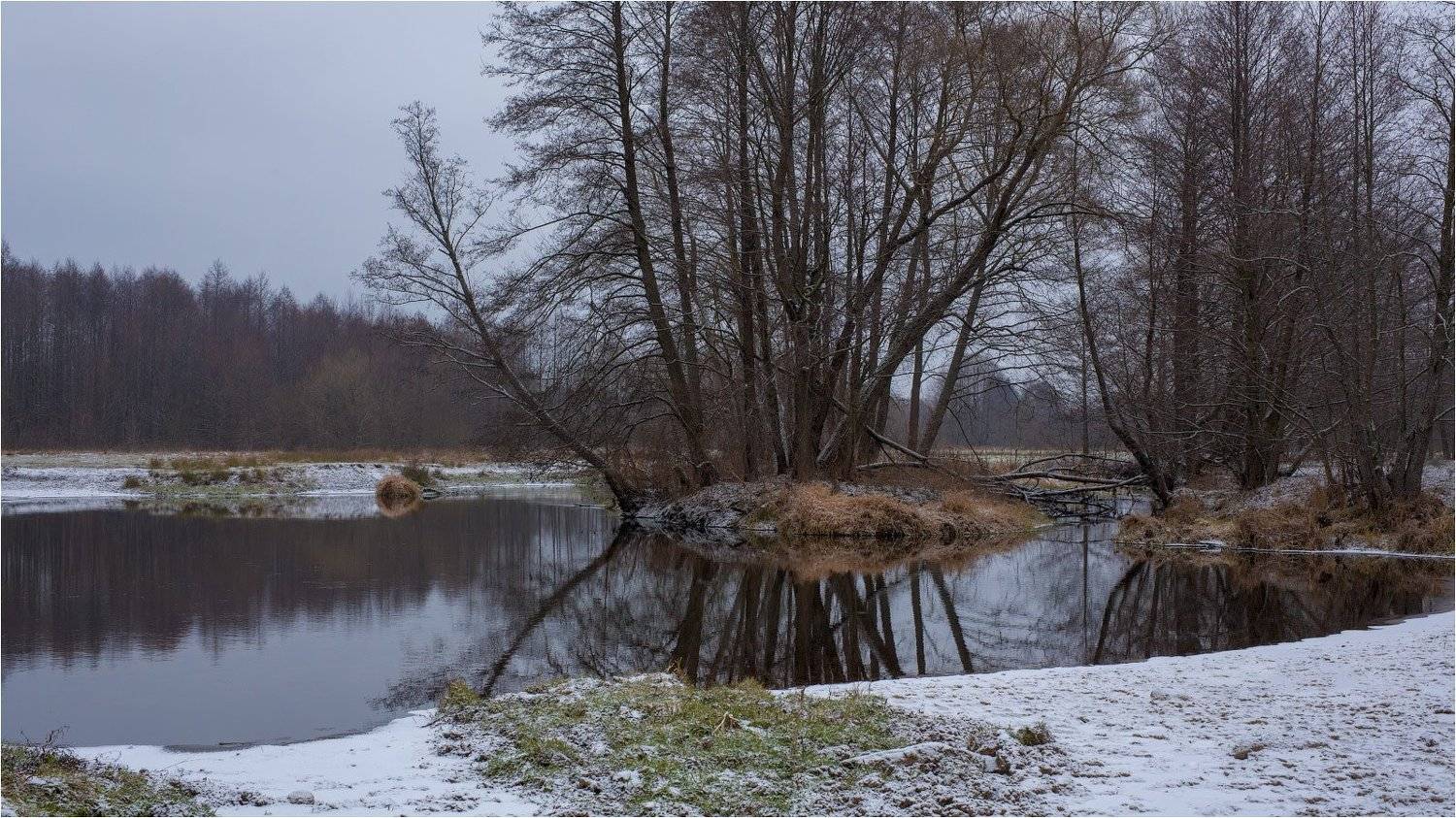 , Михаил Кушнер