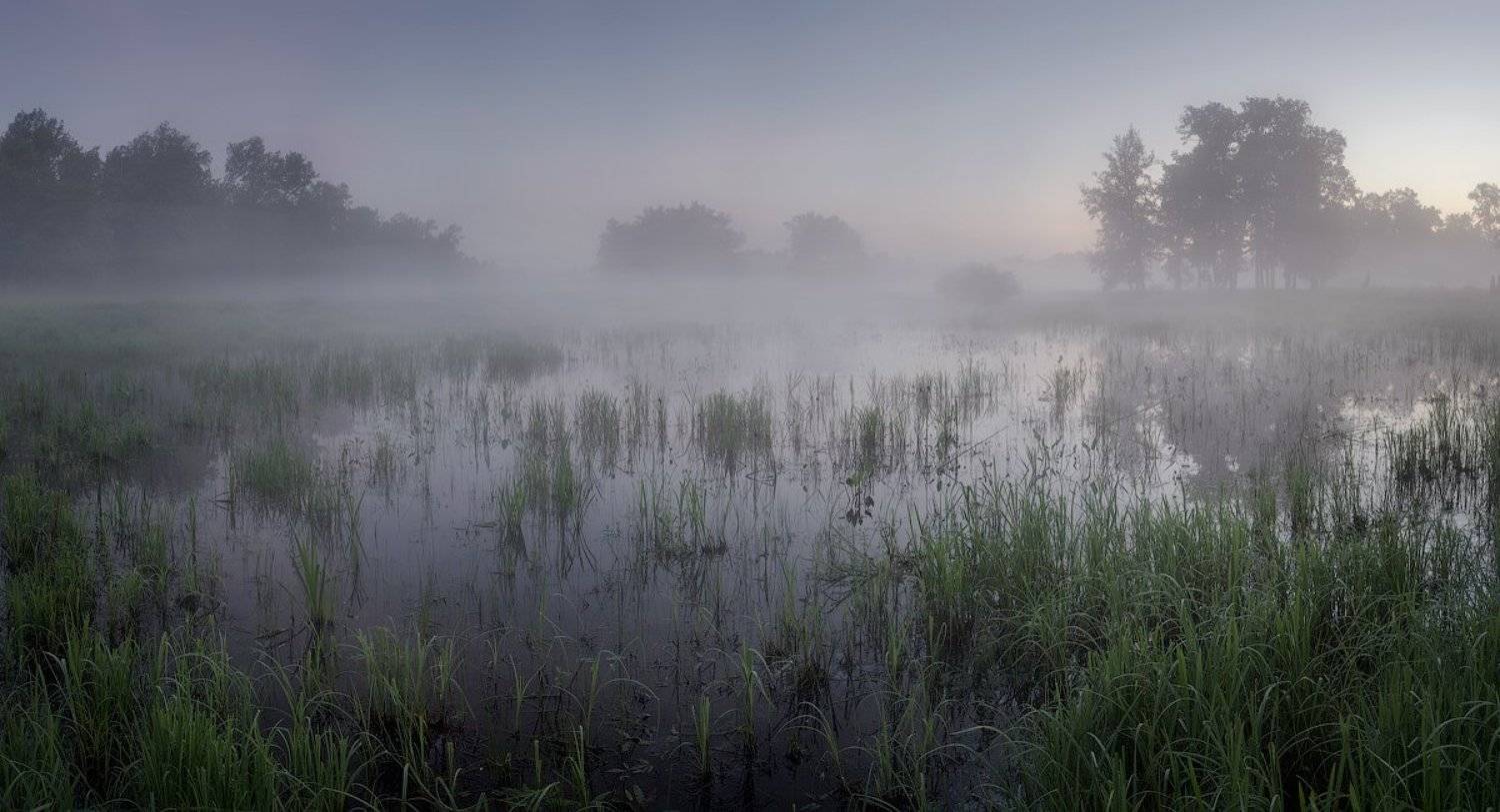 природа утро лето, Михаил Корнилов