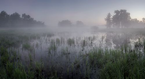 Где-то за туманами