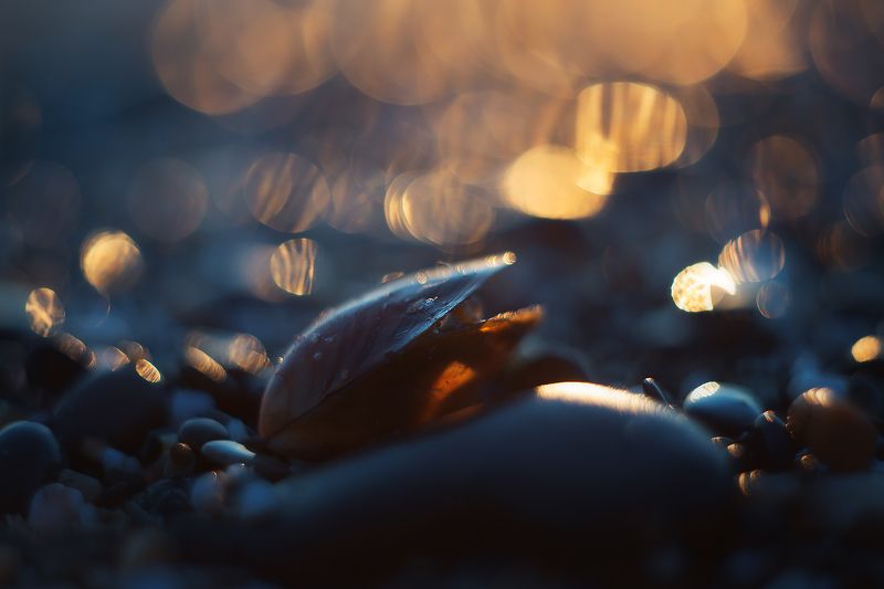 ... фото превью