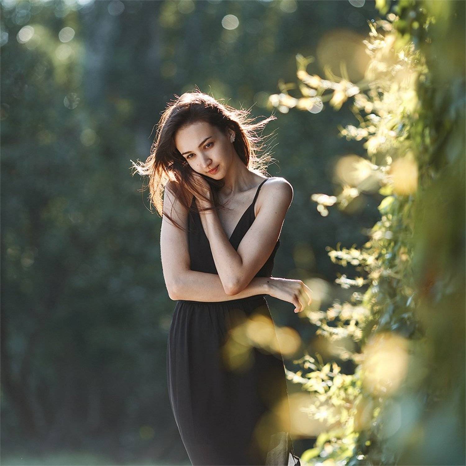 , Дмитрий Плеханов